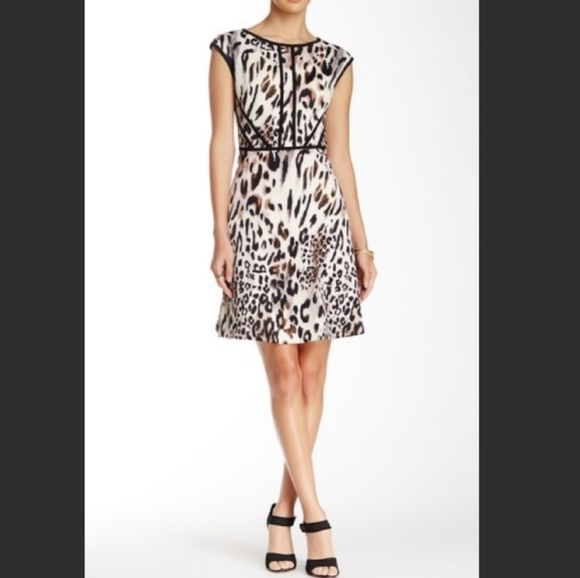 Studio One Dresses & Skirts - Studio One Leopard Print Fit & Flare Dress